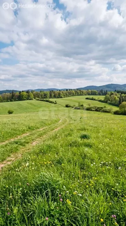 Участок в Шебалинский район, село Мыюта (2106.15 м) - Фото 1