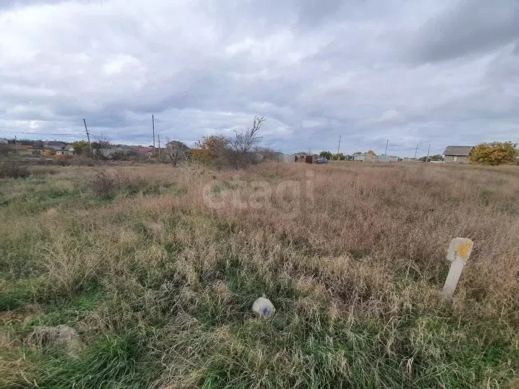 Участок в Крым, Черноморский район, с. Новосельское, Таврия СНТ 576А ... - Фото 0