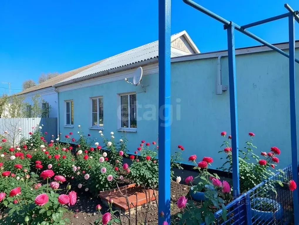 Дом в Краснодарский край, Темрюкский район, Краснострельское с/пос, ... - Фото 1