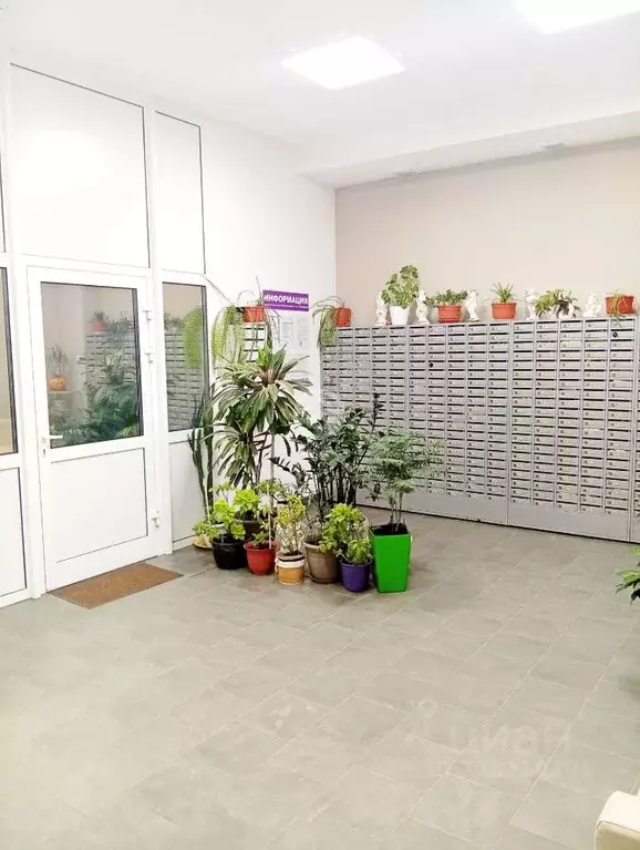 2-к кв. Московская область, Солнечногорск городской округ, Голубое пгт ... - Фото 1