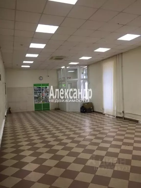 Помещение свободного назначения в Санкт-Петербург пос. Песочный, ... - Фото 1