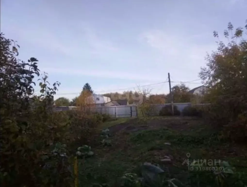Участок в Омская область, Омск СОСН Авангард тер., 256 (444.0 сот.) - Фото 1