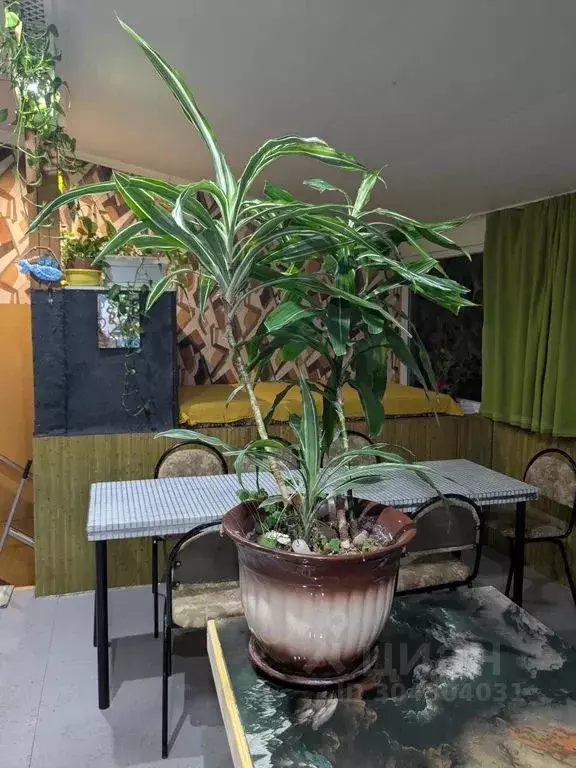 Комната Краснодарский край, Сочи Сочинское ш., 8/10 - Фото 1