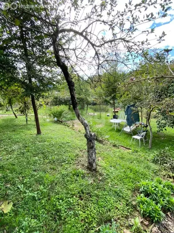 Дом в Краснодарский край, городской округ Сочи, село Высокое, садовое ... - Фото 1