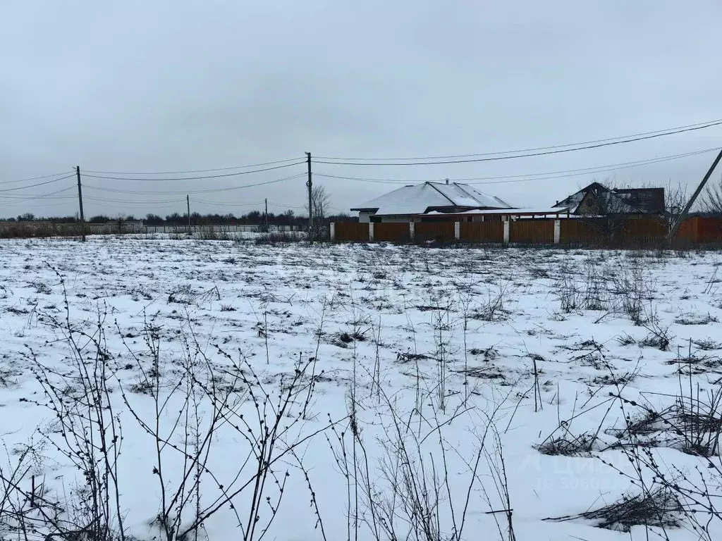 Участок в Волгоградская область, Среднеахтубинский район, Фрунзенское ... - Фото 1