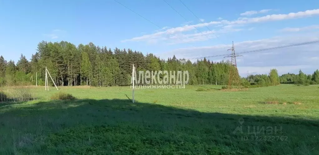 Участок в Ленинградская область, Выборг Промышленный мкр,  (320.0 ... - Фото 1