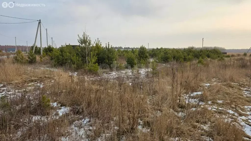 Участок в Тюменская область, Нижнетавдинский муниципальный округ, ... - Фото 2