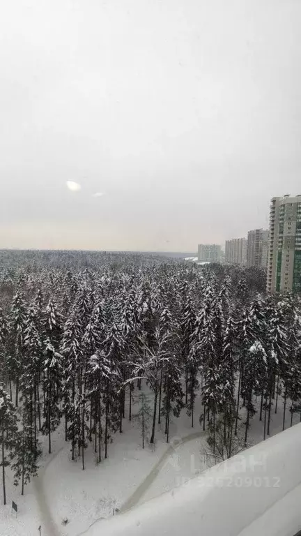 2-к кв. Московская область, Красногорск ул. Игоря Мерлушкина, 6 (58.0 ... - Фото 2