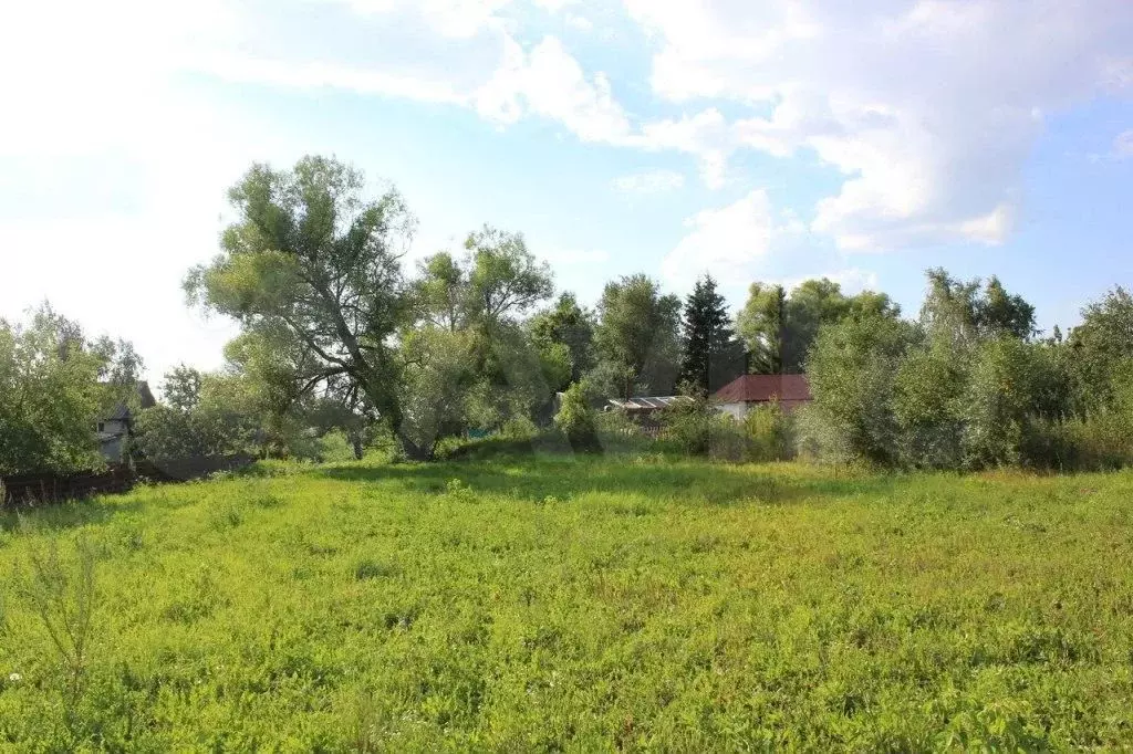 Куплю участок выселки. Село Бестужево Кораблинский район. Новомичуринск деревня Бестужево. Пустотино Кораблинский район. Рязанская область, Кораблинский р-н, с.Бестужево.