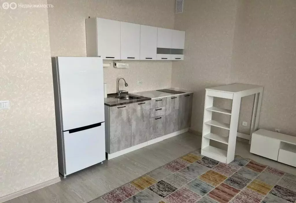 Квартира-студия: Пермь, Кустовая улица, 2А (29 м) - Фото 1