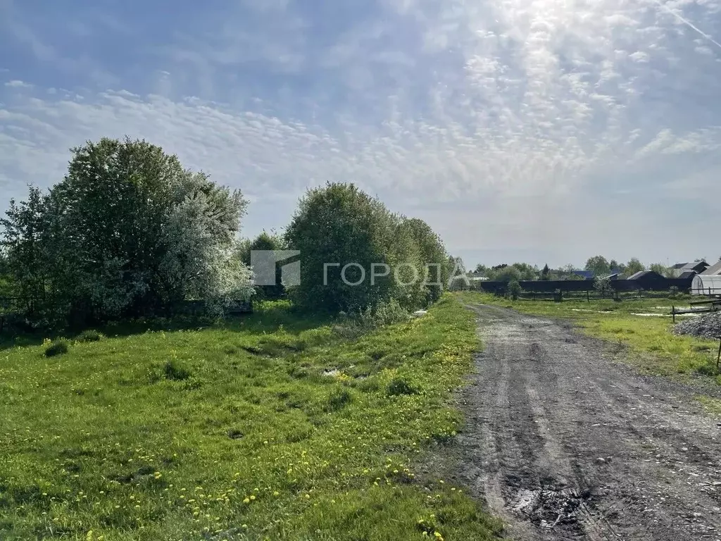 Участок в Кемеровская область, Новокузнецкий муниципальный округ, с. ... - Фото 0
