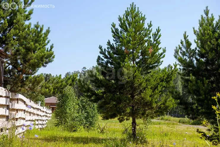 Участок в село Плотниково, микрорайон Южный, Радужная улица (5 м) - Фото 1