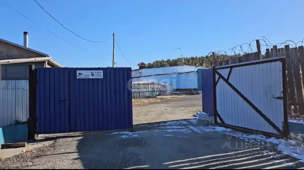 Склад в Свердловская область, Белоярский пгт ул. Калинина, 74А (2906 ... - Фото 1