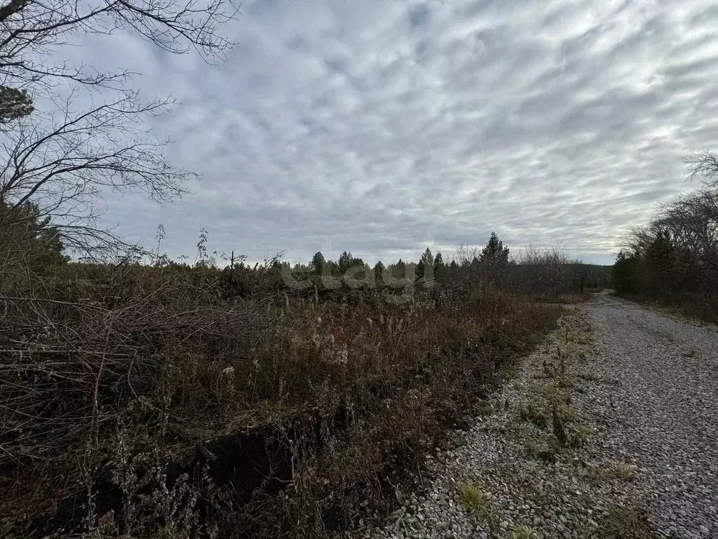 Участок в Свердловская область, Талица  (10.0 сот.) - Фото 0