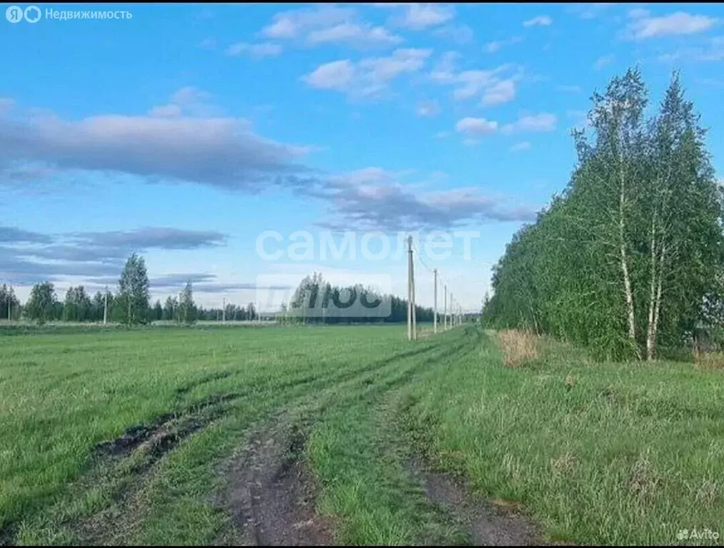 Участок в муниципальный округ Омский район, село Красная Горка (10 м) - Фото 1
