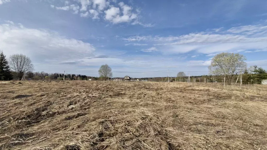 Участок, 15 сот., поселения (ижс) - Фото 1