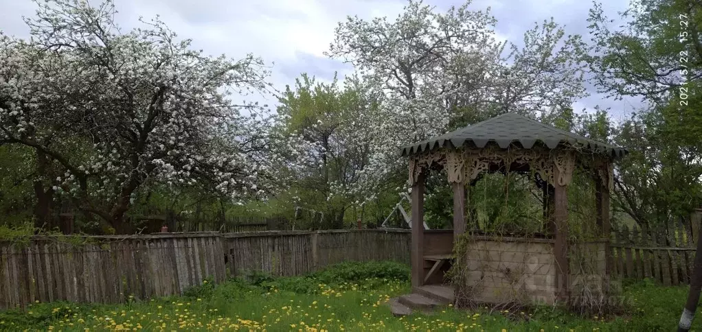 Дом в Новгородская область, Великий Новгород Орловская ул., 7А (50 м) - Фото 1