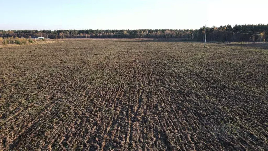 Участок в Владимирская область, Киржачский муниципальный округ, ... - Фото 1