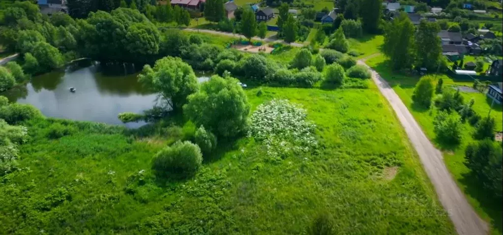 Участок в Ярославская область, Гаврилов-Ямский муниципальный округ, с. ... - Фото 2