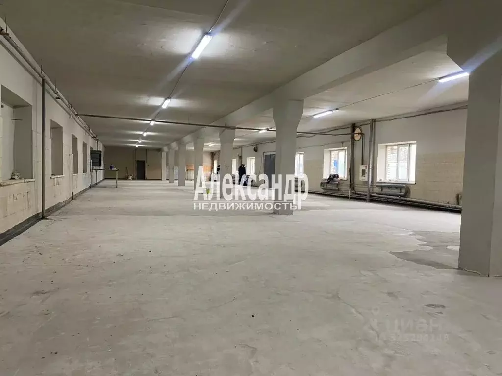 Производственное помещение в Санкт-Петербург Пискаревский просп., 123 ... - Фото 1