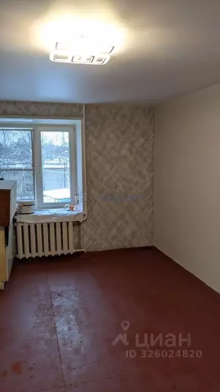 1-к кв. Нижегородская область, Нижний Новгород ул. Вячеслава Шишкова, ... - Фото 2