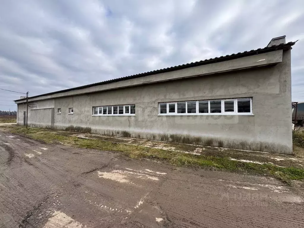 Помещение свободного назначения в Московская область, Наро-Фоминский ... - Фото 2