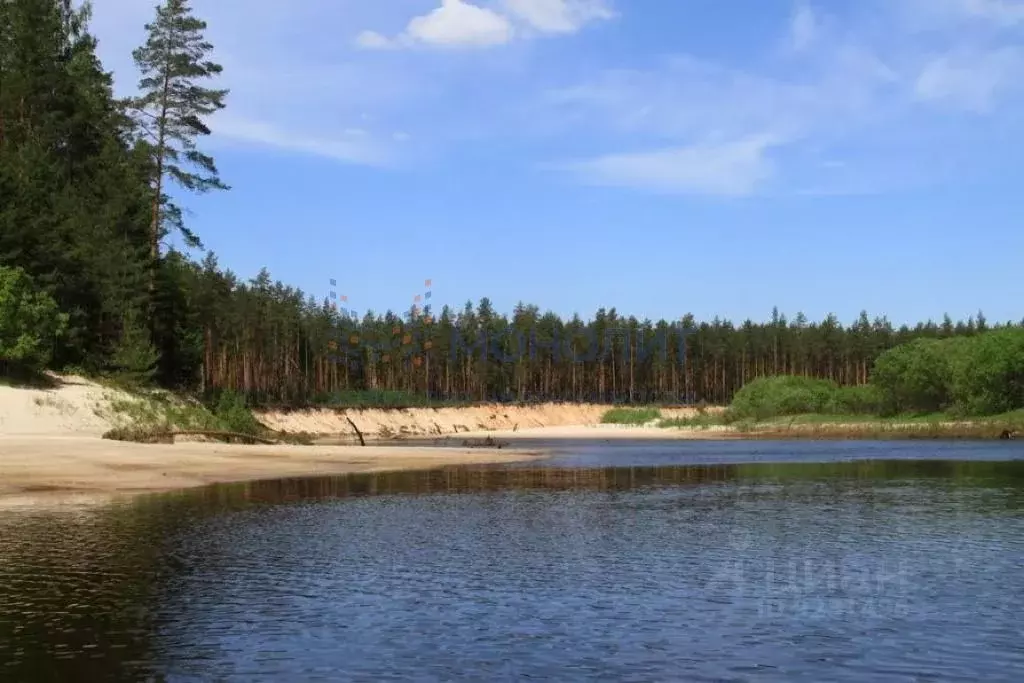 Нижегородский заповедник. Керженский заповедник Нижегородской области. Заповедник Керженец Нижегородской области. Рустай Керженский заповедник. Керженец заповедник.