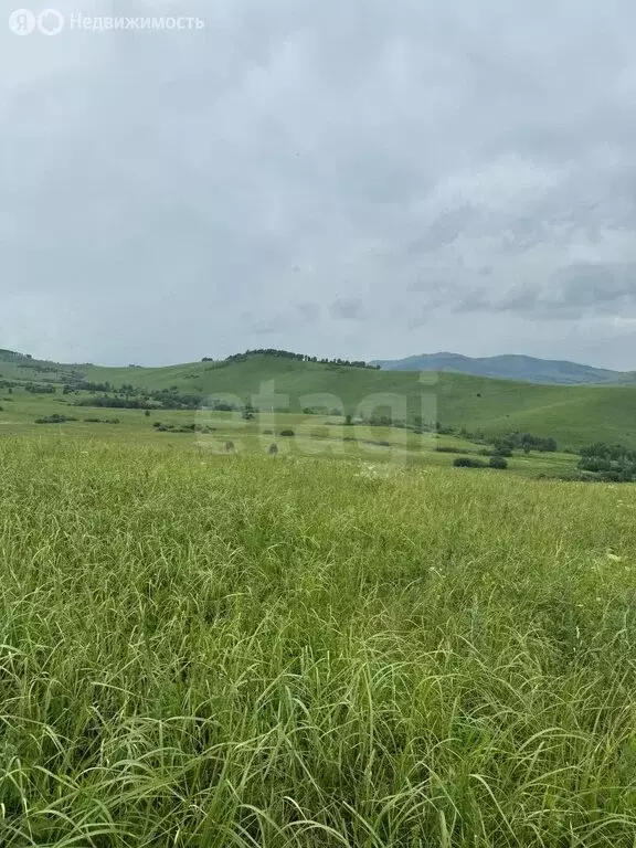 Участок в Алтайский район, ДНТ Жемчужина Алтая (8.75 м) - Фото 1