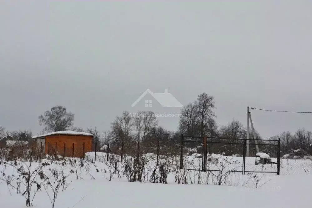 Участок в Владимирская область, Александровский район, Каринское ... - Фото 0