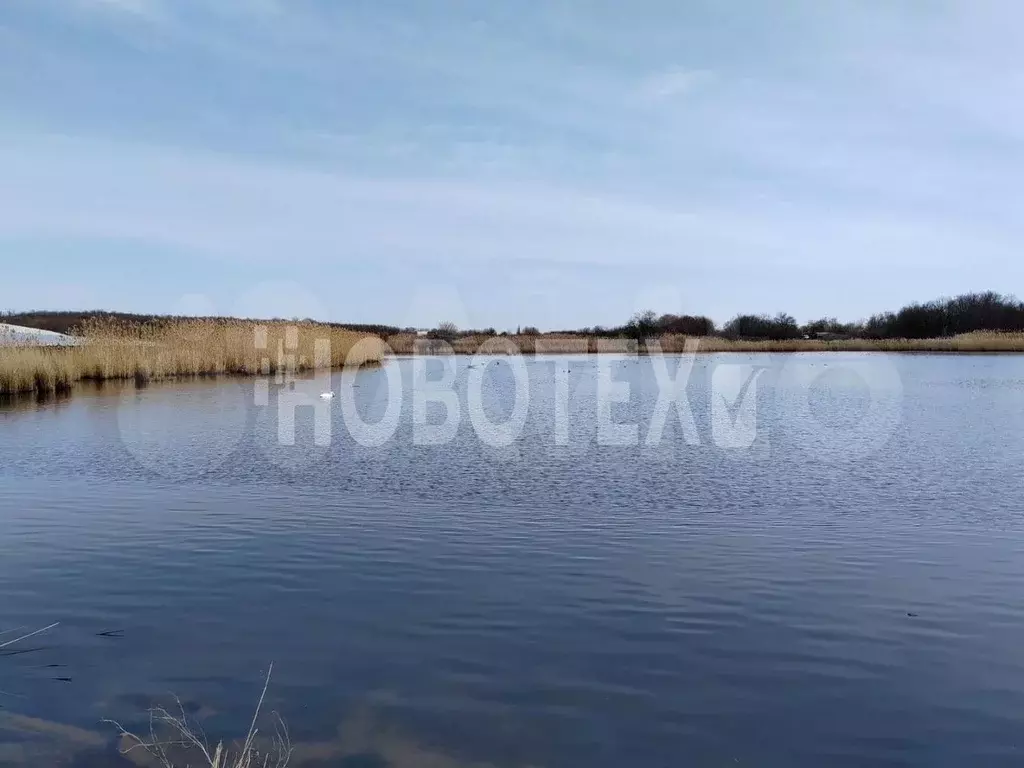 Дом 45,5 м на участке 32,5 сот. - Фото 0