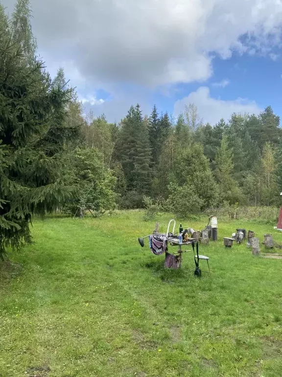Участок в Ленинградская область, Лужский район, Мшинское с/пос, ... - Фото 0