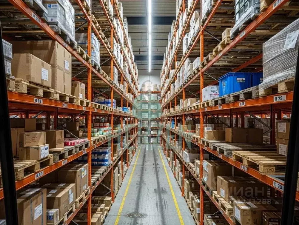 Склад в Московская область, Богородский городской округ, Обухово пгт, ... - Фото 2