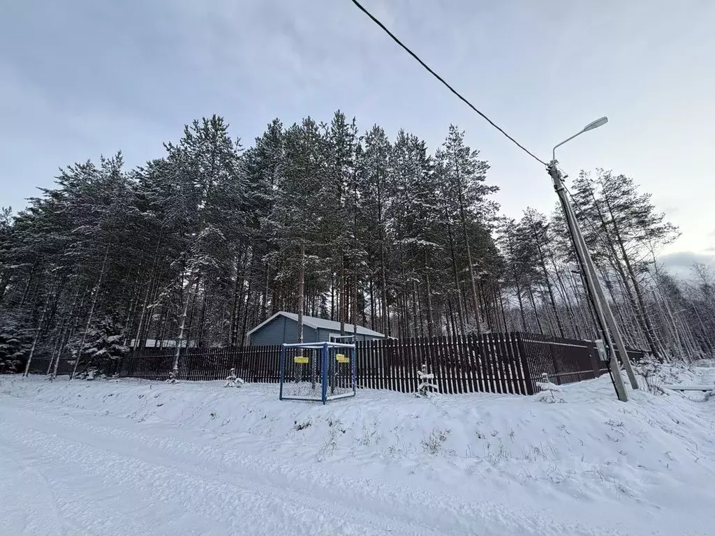 Участок в Ярославская область, Некрасовское с/пос, Малые Соли Парк кп ... - Фото 2