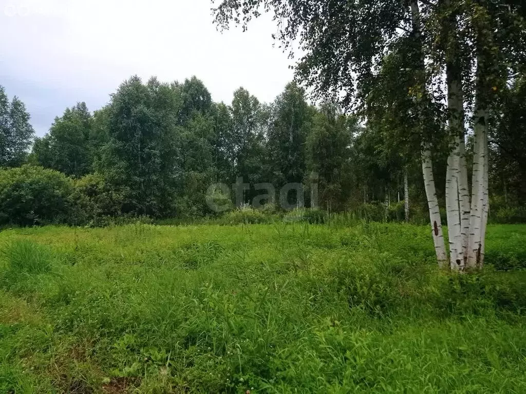 Участок в Нижнетавдинский район, СНТ Сочинские, 32-я линия (9 м) - Фото 0