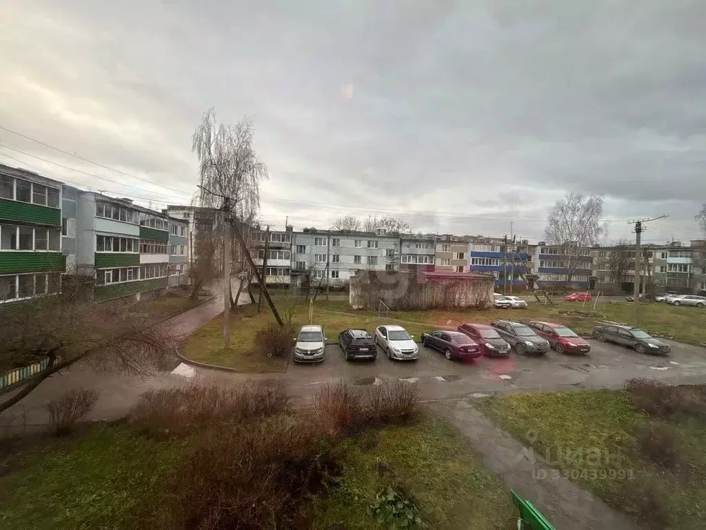 3-к кв. Псковская область, Остров Строитель мкр, 8 (58.4 м) - Фото 2