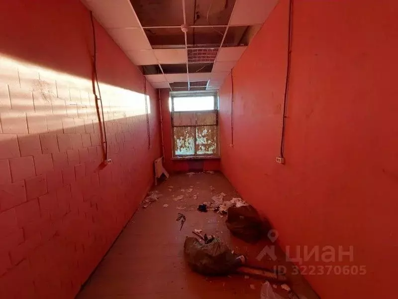 Производственное помещение в Санкт-Петербург Промышленная ул., 5 (58 ... - Фото 2