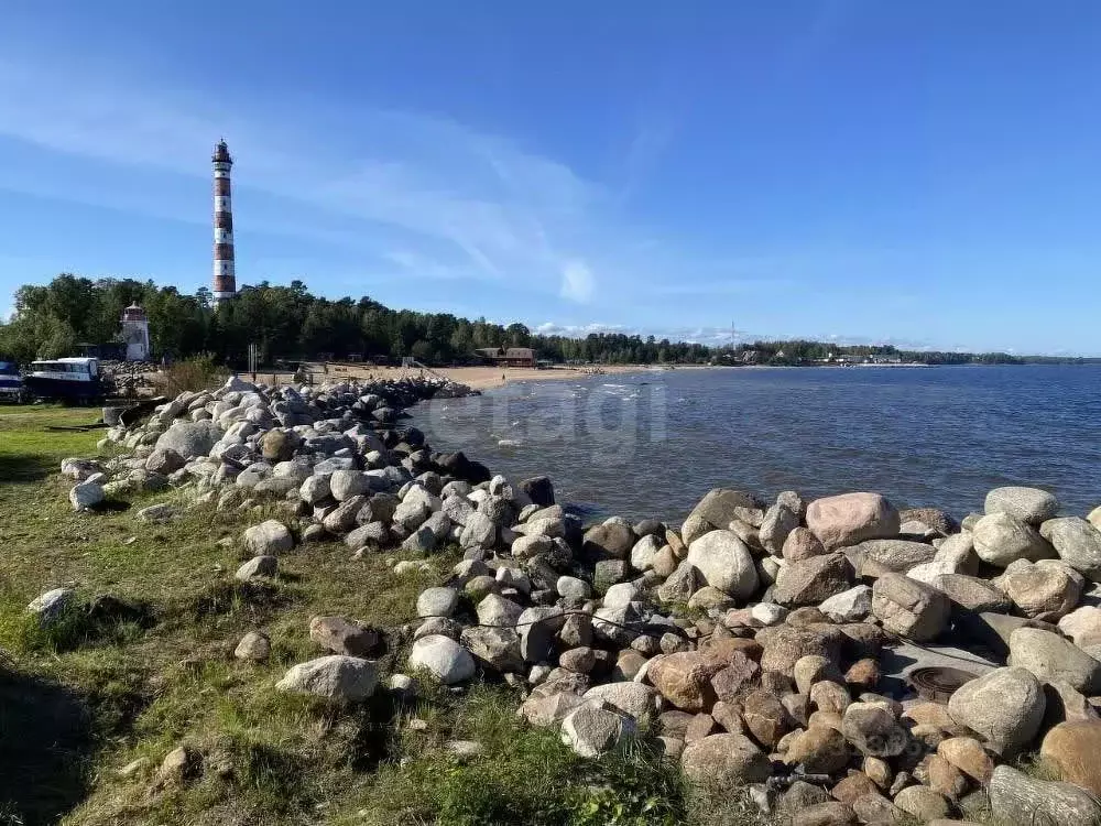 Участок в Ленинградская область, Всеволожский район, Романовское ... - Фото 1