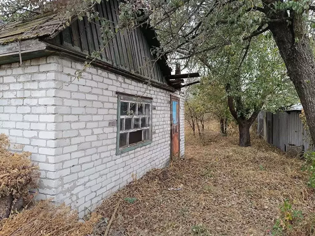 Дом в Брянская область, Брянск Садовод садовое общество, 2 (15 м) - Фото 0