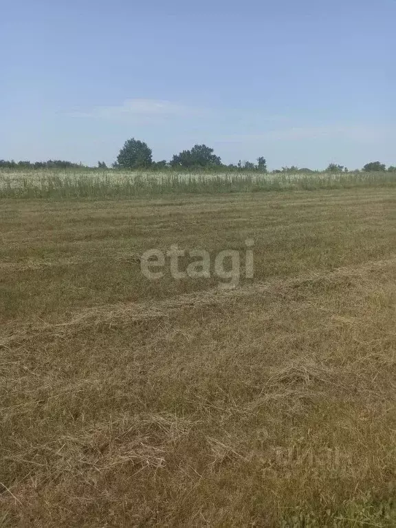 Участок в Липецкая область, Липецкий муниципальный округ, с. Студеные ... - Фото 2