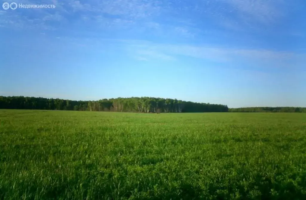 Участок в Кемеровская область, Новокузнецкий муниципальный округ, ... - Фото 1