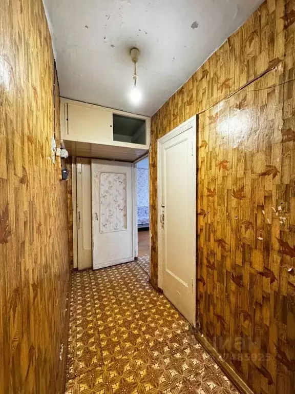 1-к кв. Кировская область, Киров ул. Герцена, 91 (31.0 м) - Фото 1