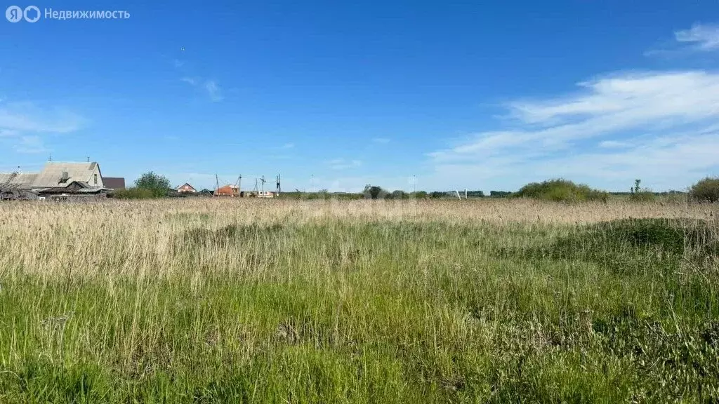 Участок в Копейский городской округ, село Синеглазово, Шоссейная улица ... - Фото 1