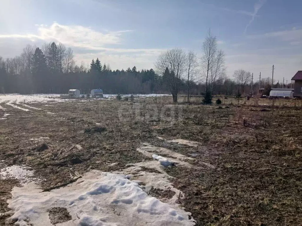 Участок в Ленинградская область, Волховский район, Бережковское с/пос, ... - Фото 1