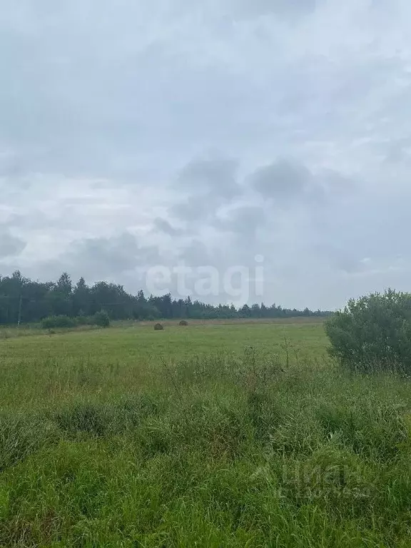 Участок в Ярославская область, Переславль-Залесский городской округ, ... - Фото 1