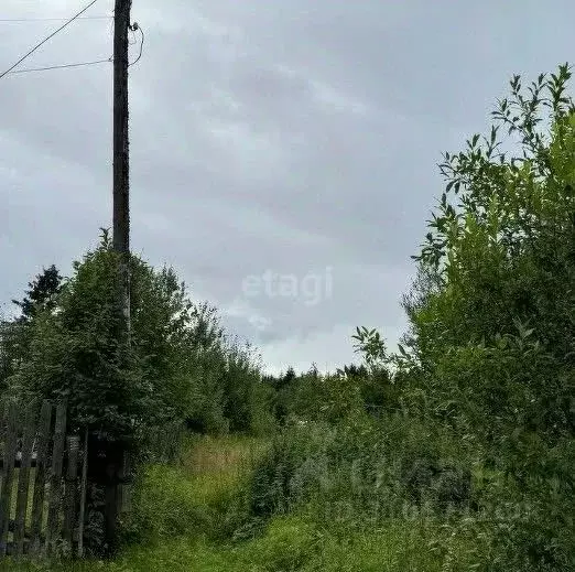 Участок в Свердловская область, Горноуральский городской округ, пос. ... - Фото 1