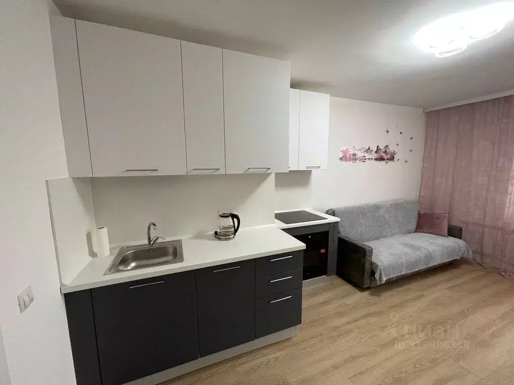Студия Санкт-Петербург ул. Гудиловская, 9 (20.0 м) - Фото 0