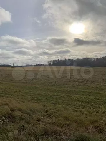 Участок 5,6 га (СНТ, ДНП) - Фото 0
