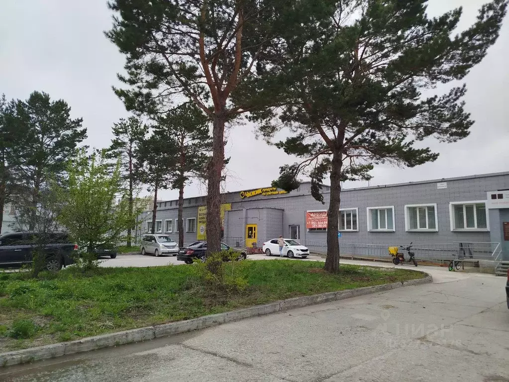 Помещение свободного назначения в Новосибирская область, Новосибирский ... - Фото 2