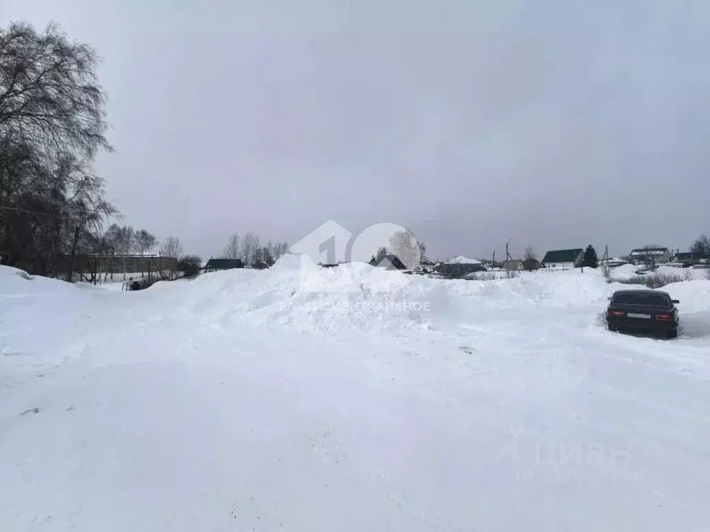 Участок в Новосибирская область, Мошково рп ул. Пушкина, 45А (10.0 ... - Фото 1