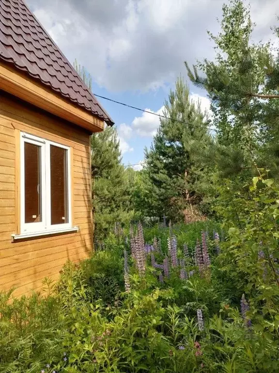 Дом в Нижегородская область, Богородский муниципальный округ, с. ... - Фото 1